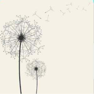 Meet your Posher, Addison